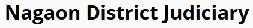 Nagaon District Court Contact No. 03672-255 115
